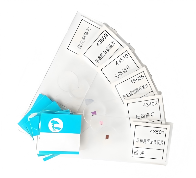 ��ֲ��ϸ��װƬ