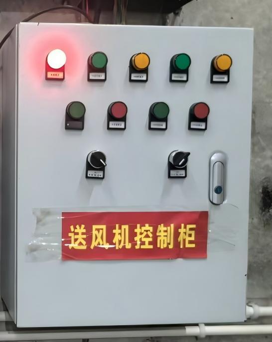 ������ƹ�